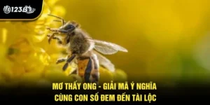 mo-thay-ong-giai-ma-y-nghia-cung-con-so-dem-den-tai-loc