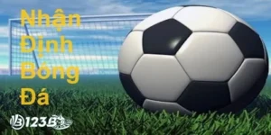 nhan-dinh-bong-da-chinh-xac-anh-dai-dien